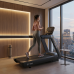 Беговая дорожка CardioPower PRO CT300 – V9E