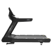 Беговая дорожка CardioPower PRO CT350